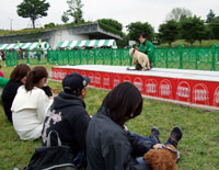 ドッグランフェスタ教室