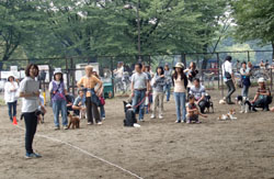 小金井公園しつけ教室