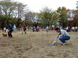 小金井公園しつけ教室