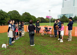 幕張海浜公園しつけ教室