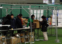 シッポフェスタ