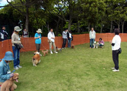 幕張海浜公園しつけ教室