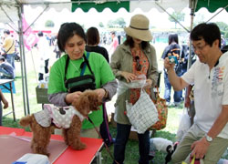 ドッグランフェスタ