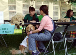 ドッグランフェスタ