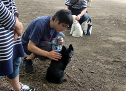 小金井公園しつけ教室
