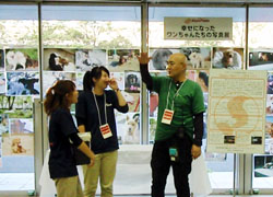 シッポフェスタ