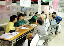 シッポフェスタ