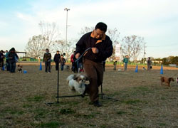 小金井公園しつけ教室