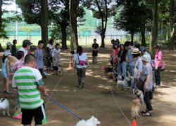 小金井公園しつけ教室