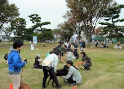 武蔵野中央公園