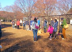 小金井公園しつけ教室