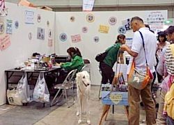 シッポフェスタ