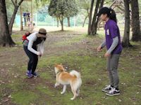 インストラクター