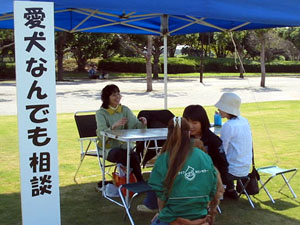相談会の様子