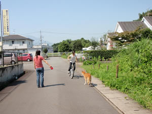 危険なリードの例