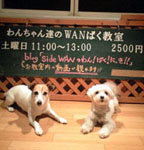 お店のイメージ