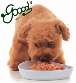 お店のイメージ