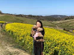 ドッグライフカウンセラー