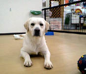 お店のイメージ