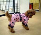 お店のイメージ