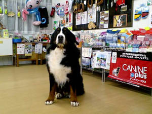 お店のイメージ