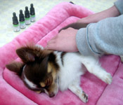 お店のイメージ