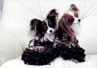 お店のイメージ