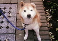 お店のイメージ