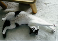 お店のイメージ